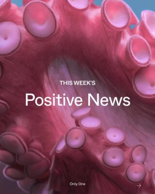 Repost from @onlyone
                                        •
                                        Recent court rulings have delivered powerful victories for the environment — upholding protections, challenging harmful practices, and holding polluters accountable.