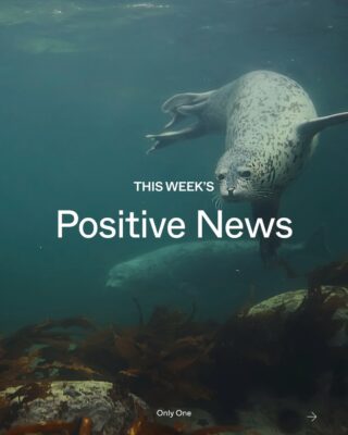 Repost from @onlyone 
                                        •
                                        At a time when even the smallest good seems political, every week, people keep fighting for a fairer, cleaner future. All around the country, American communities are still striving for sustainable changes they believe in — and making them happen.